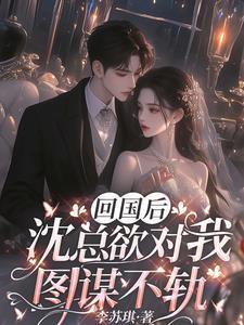 第2章 她回国了 第2章 她回国了