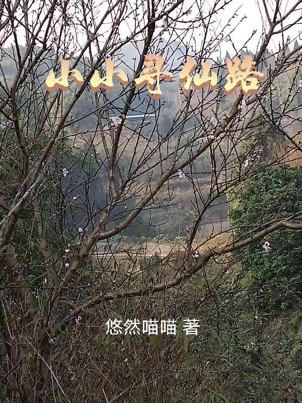 小小寻仙路TXT电子书 小小寻仙路TXT电子书