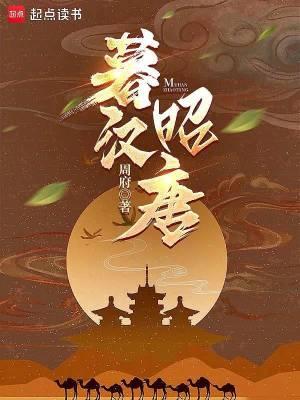暮汉昭唐 周府 暮汉昭唐 周府