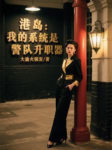 港警之综合系统 港警之综合系统