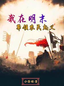 穿越明末农民起义军 穿越明末农民起义军