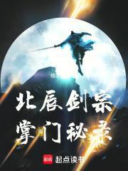 北辰剑宗掌门秘录手打 北辰剑宗掌门秘录手打