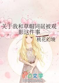 我在草帽海贼团 我在草帽海贼团