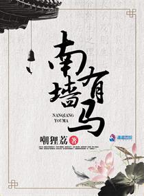 南墙对应的是什么 南墙对应的是什么