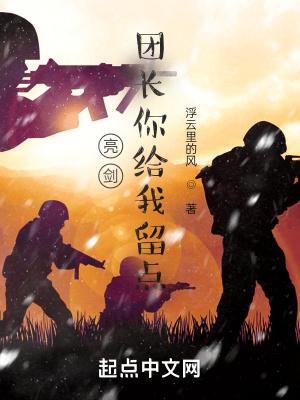 亮剑团长你给我留点目录 亮剑团长你给我留点目录