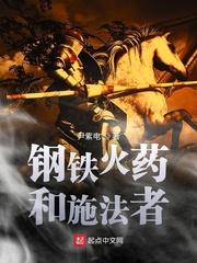 钢铁火药和施法者评价 钢铁火药和施法者评价