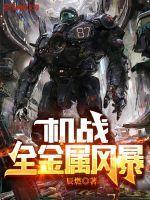 机战全金属风暴好看吗 机战全金属风暴好看吗