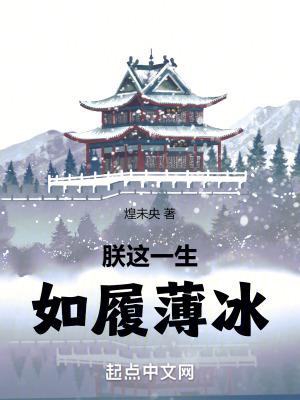 朕这一生如履薄冰笔趣阁最新 朕这一生如履薄冰笔趣阁最新