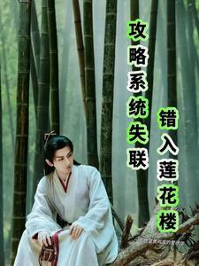 攻略系统简介 攻略系统简介