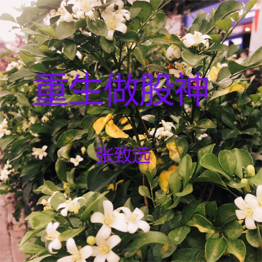重生金融长篇 重生金融长篇