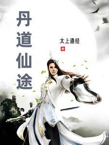 丹道仙途角色 丹道仙途角色