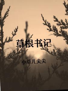 草根书记免费阅读 草根书记免费阅读