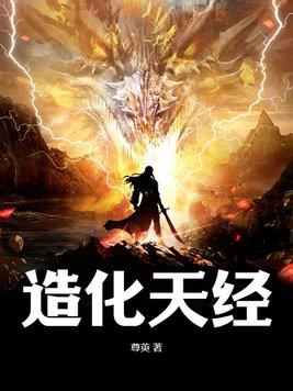 造化天经境界化分 造化天经境界化分