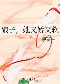 重生八零军嫂军少首长 重生八零军嫂军少首长