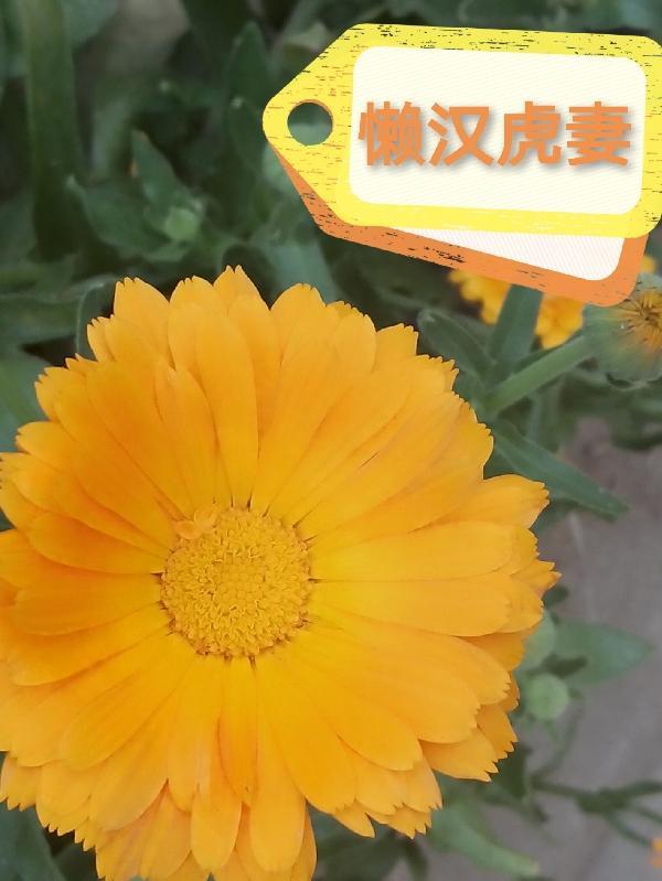 钓鱼佬日常 钓鱼佬日常